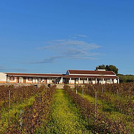 Turismo Rural Pedremoura Guest House Vila Ruiva  Ngoại thất bức ảnh